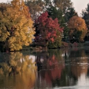 Meet your Posher, Mary